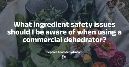 What ingredient safety issues should I be aware of when using a commercial dryer? - Septree